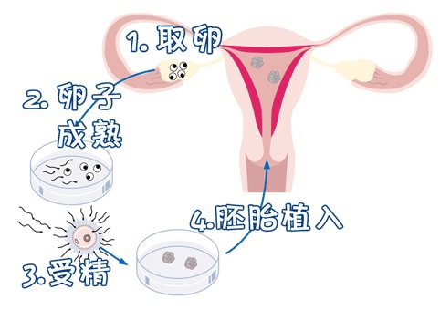 周启明 主任医师